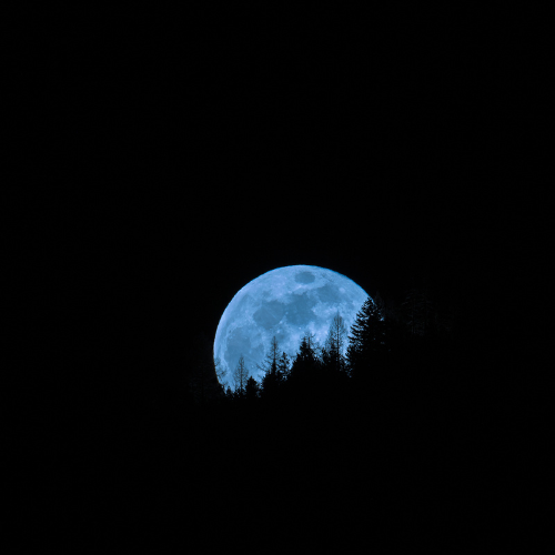 blue moon behind shadows of trees