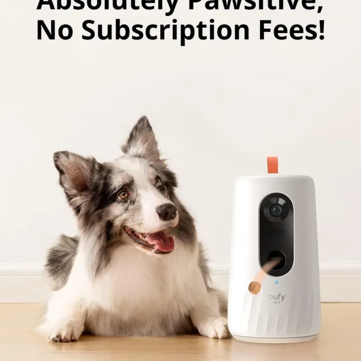 eufy no subscription fees