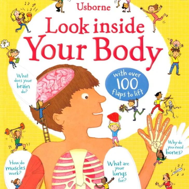 look inside your body