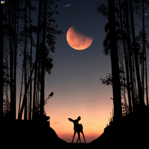 puppies gazelle, moon, forest