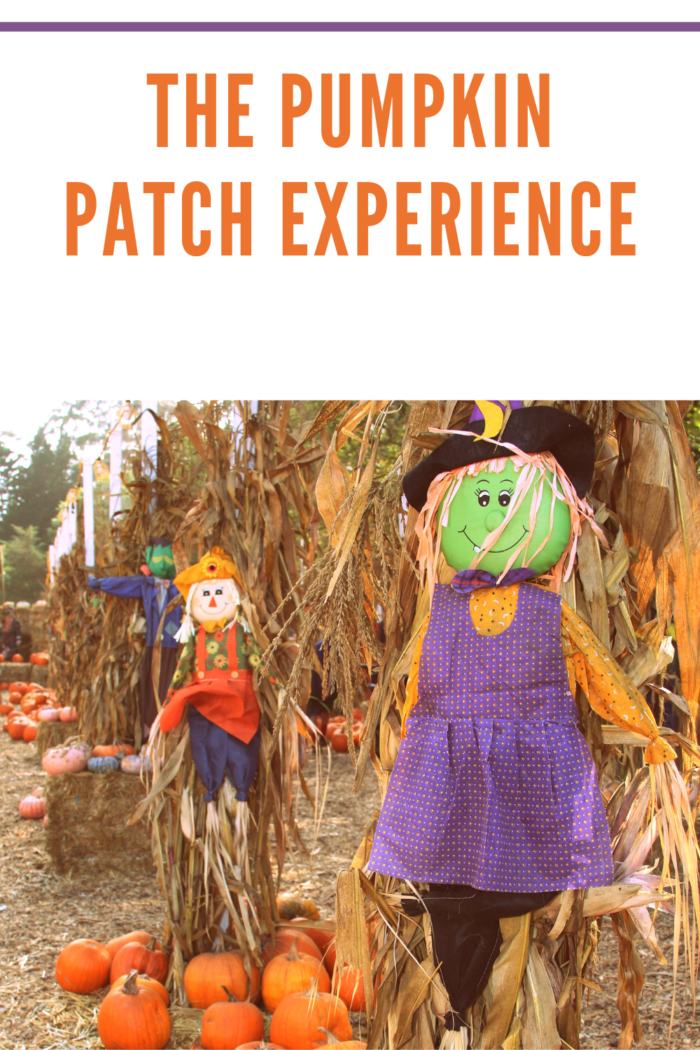 Pumpkin Patch Scarecrow Pumpkins