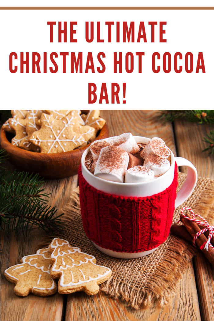 Cup of Christmas Cocoa