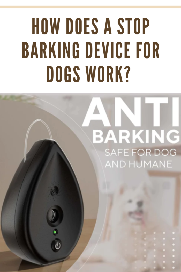 anti barking device