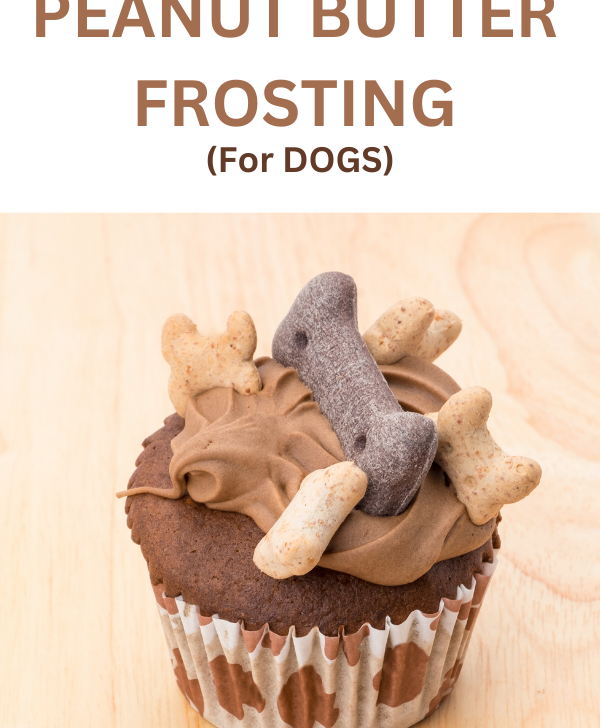 Peanut butter frosting on a dog treat cupcake - a tasty Dog Cookie Frosting Recipe for pets