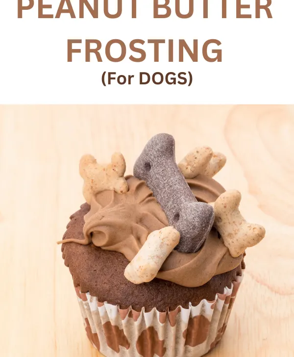 Peanut butter frosting on a dog treat cupcake - a tasty Dog Cookie Frosting Recipe for pets