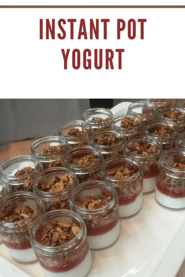 Delicious Instant Pot yogurt topped with crunchy granola and colorful fruit compote