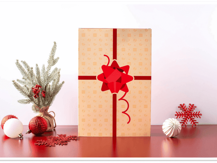 Adagio Teas Nutcracker outer packaging &mdash; wrapped gift box with red ribbon and pine sprigs