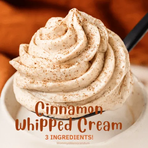 A swirl of cinnamon whipped cream piped onto a black spoon resting on a white mug, with a burnt-orange knit blanket in the background. Text overlay reads &ldquo;Need More Whip Appeal?&rdquo; and &ldquo;Cinnamon Whipped Cream &ndash; 3 Ingredients!&rdquo; in warm autumn tones.