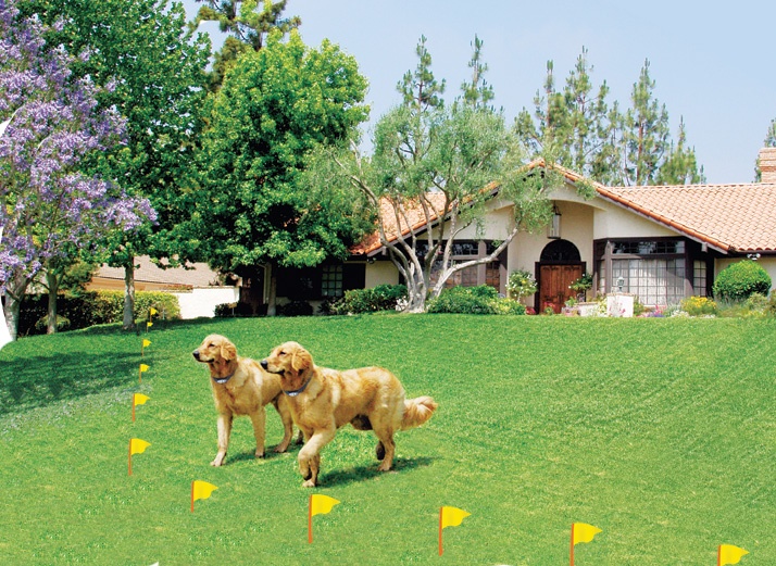 underground dog fence installation