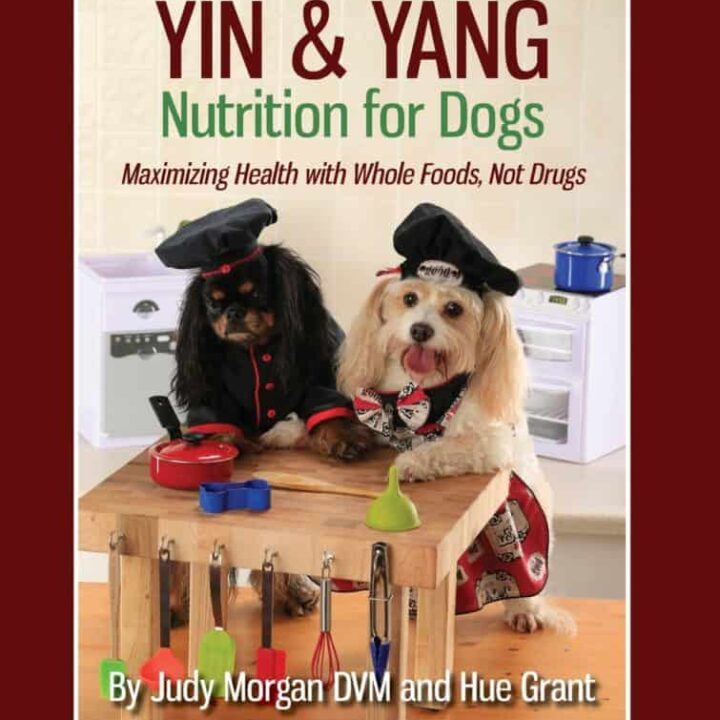 yin & Yang nutrition for dogs review