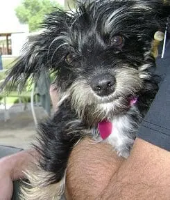 Bailey-Mae-Picture
