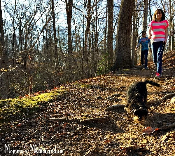 Bailey Mae on the trail