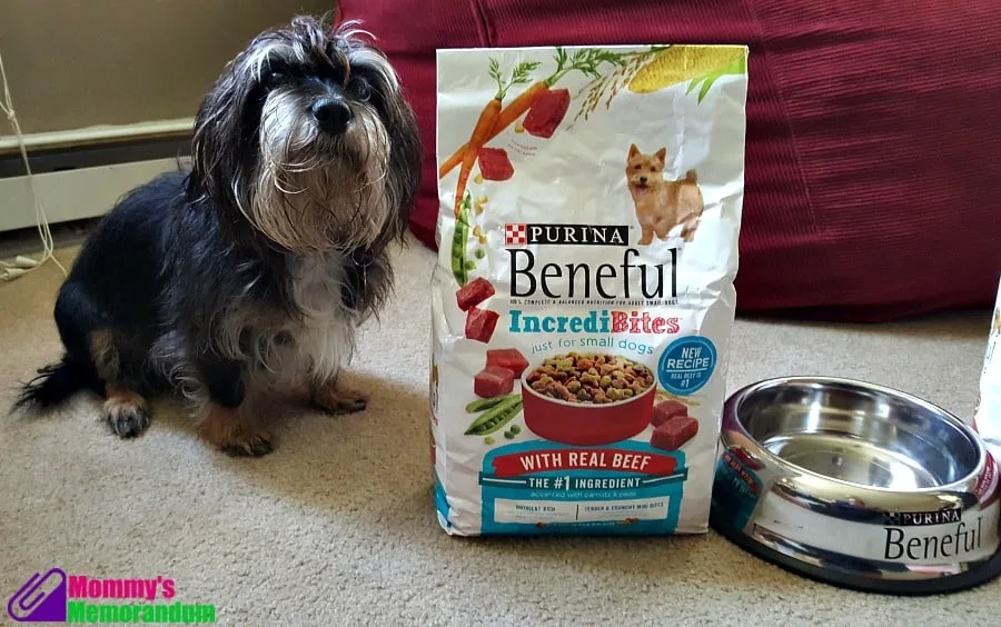 Beneful and Bailey Mae