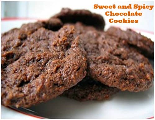 sweet and spicy chocolate cookies on plate ready to eat