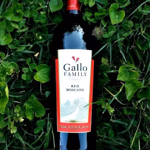 Gallo Family Red Moscato Review