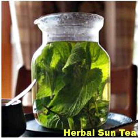 Herbal Sun Tea #Recipe