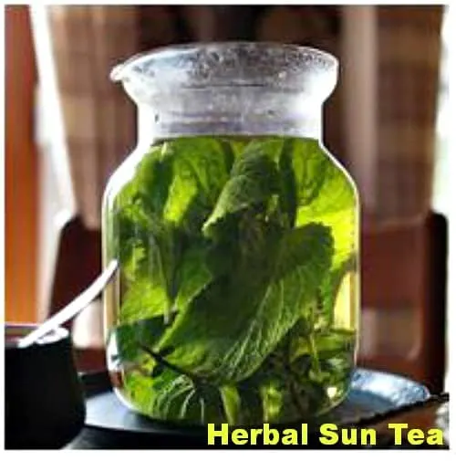 Herbal Sun Tea #Recipe