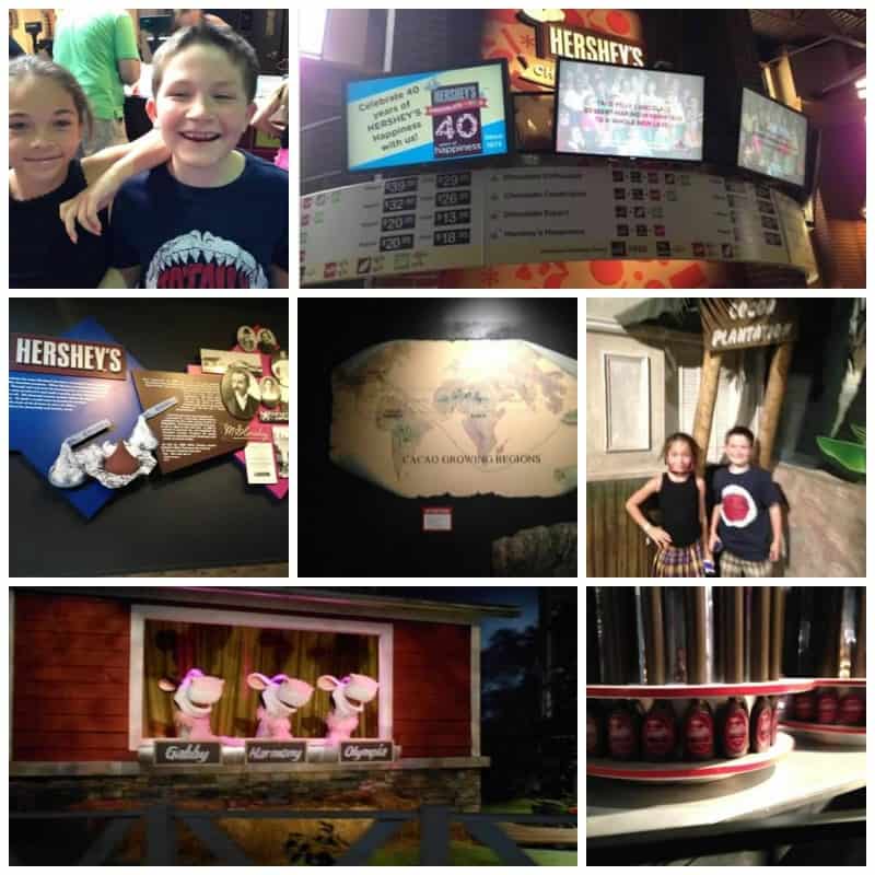 Hershey Tour Collage