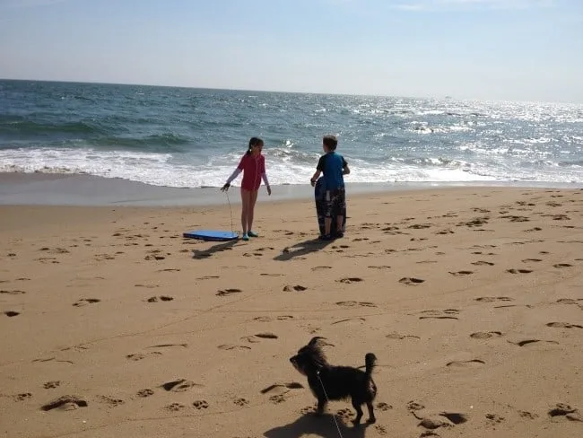 bailey mae at the beach