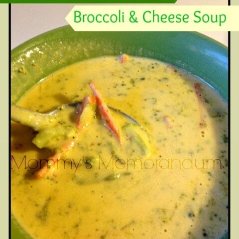 Instant Pot Copy Cat Panera Bread Broccoli and Cheese Soup