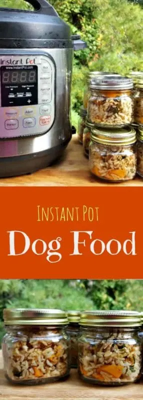instant pot dog food collage