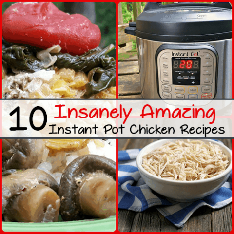 10 Insanely Amazing Instant Pot Chicken Recipes