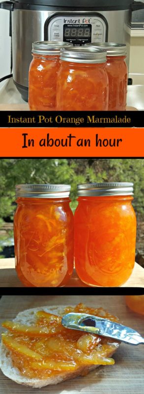 Instant Pot Orange Marmalade in about an hour