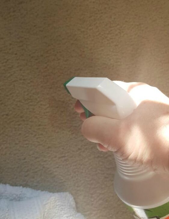 Close-up of a hand spraying Mean Green Cleaner from a bottle onto a carpet, with sunlight highlighting the spray.