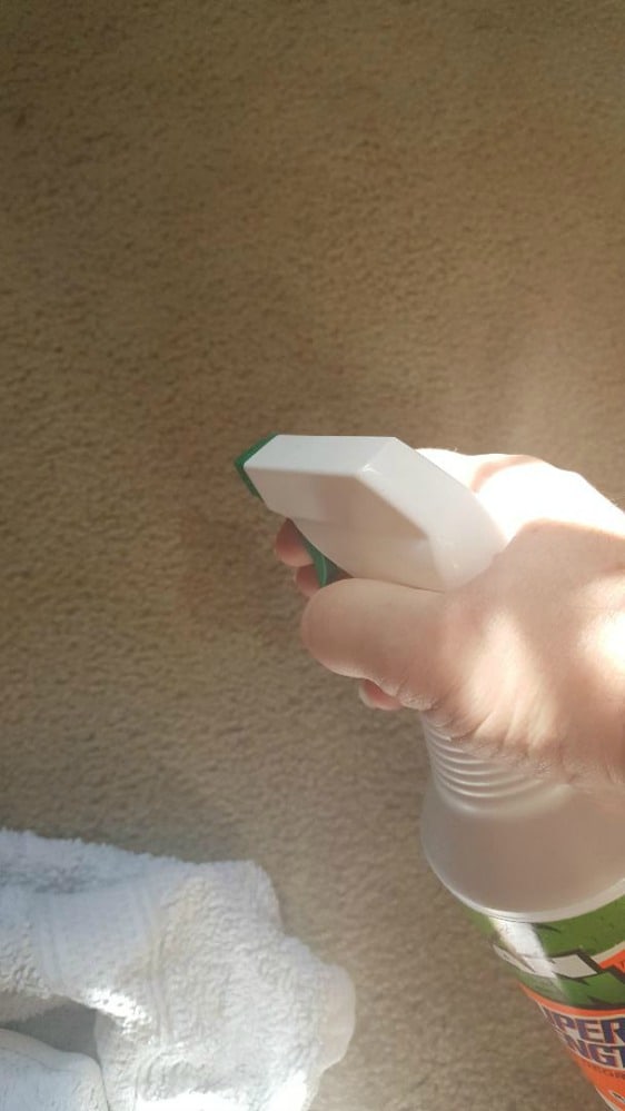 Close-up of a hand spraying Mean Green Cleaner from a bottle onto a carpet, with sunlight highlighting the spray.