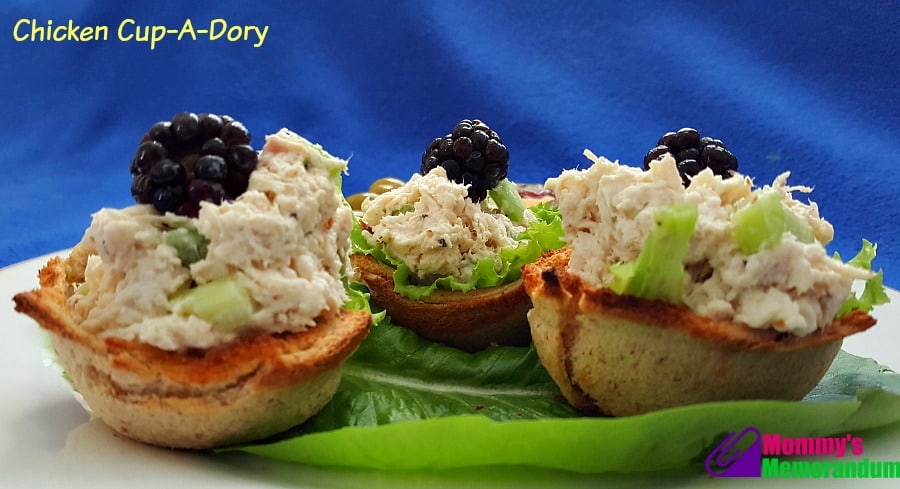 Nature's Harvest Chicken Cup a dory