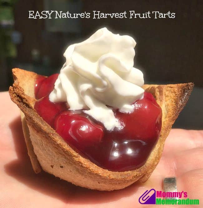 Nature's Harvest Fruit Tarts #recipe