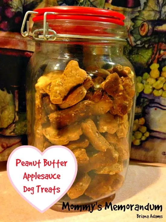 Peanut Butter-Applesauce Dog Treats in glass jar with lid making air tight container.
