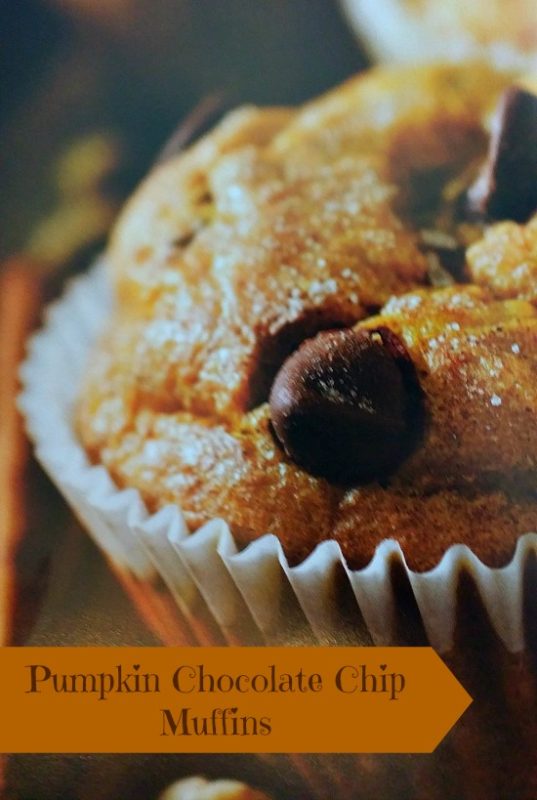 Pumpkin Chocolate Chip Muffins Recipe