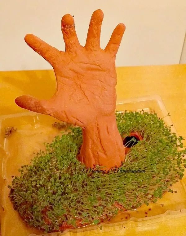 Restless Arm Chia Pet growing