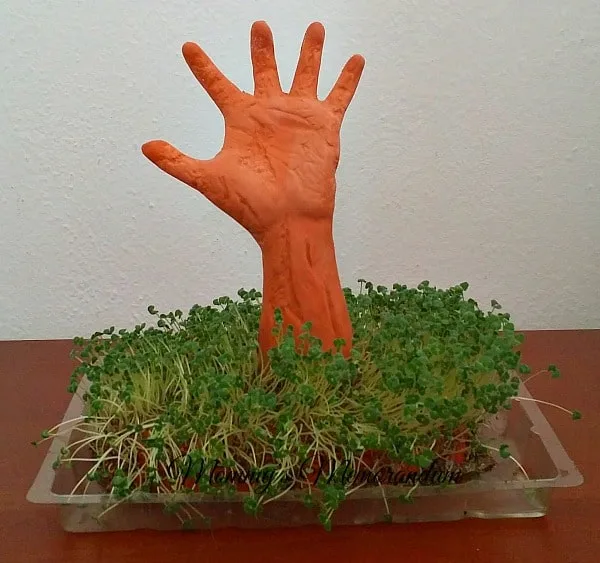 Restless Arm Chia Pet