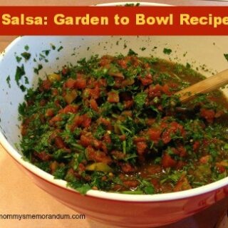 Salsa: Garden to Bowl Recipe