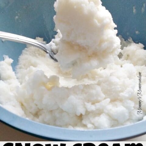 EASY Snow Cream Recipe