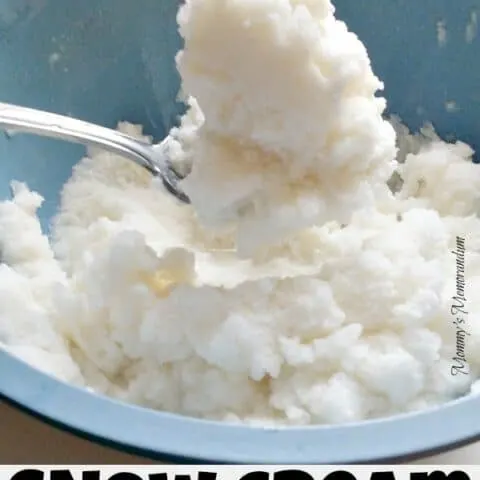 Snow Cream Recipe Don't let the snow get you down, turn it into an opportunity to make delicious, easy snow cream!