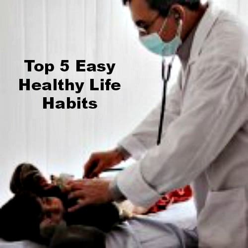 Top 5 Easy Healthy Life Habits Mommy's Memorandum