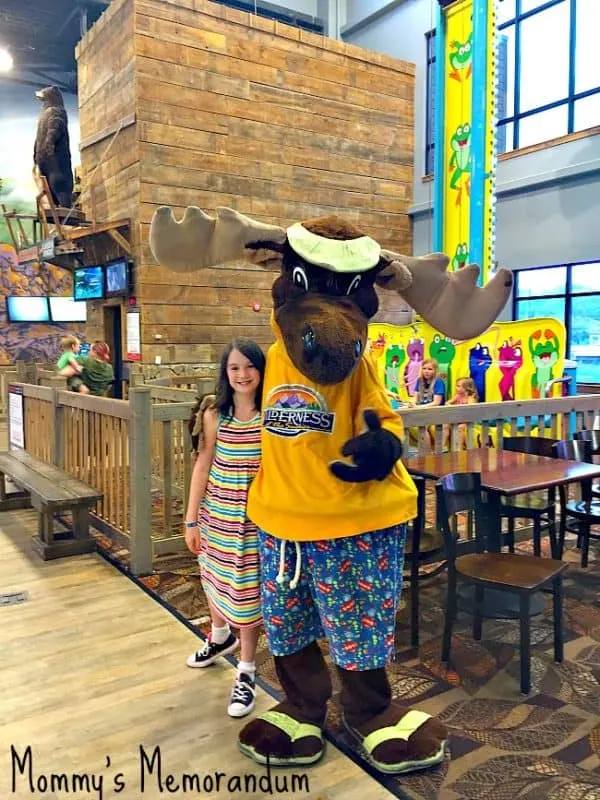 Wilderness at the Smokies Mascot