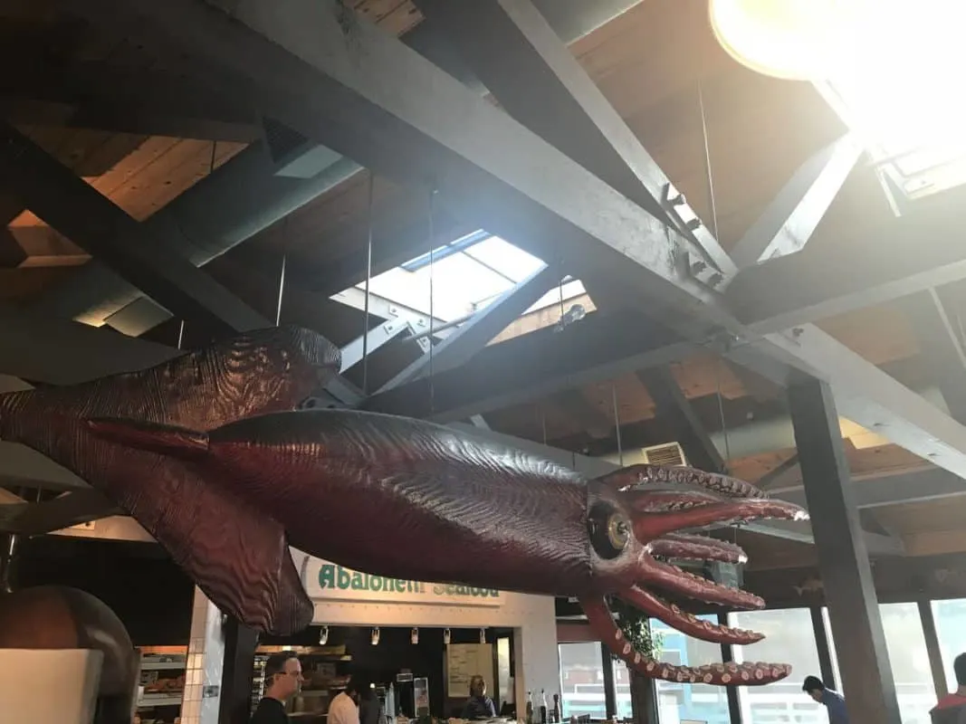 abalonetti bar giant squid