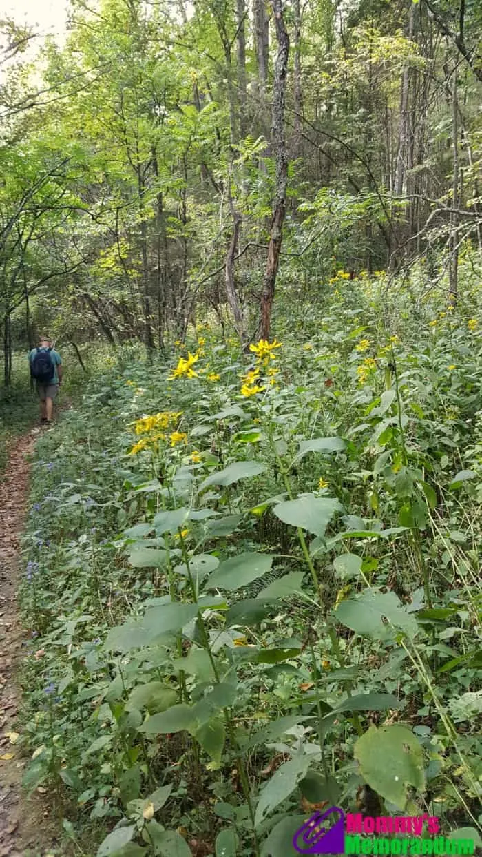 appalachian-trail