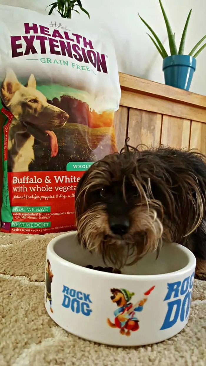 bailey eating holistic health extension grain free