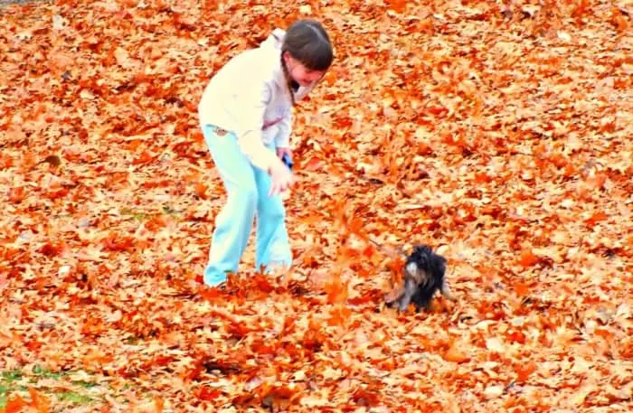 mackenzie and bailey playing in leaves