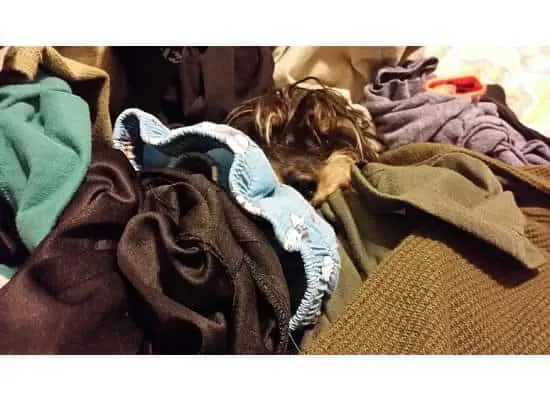 bailey mae in laundry