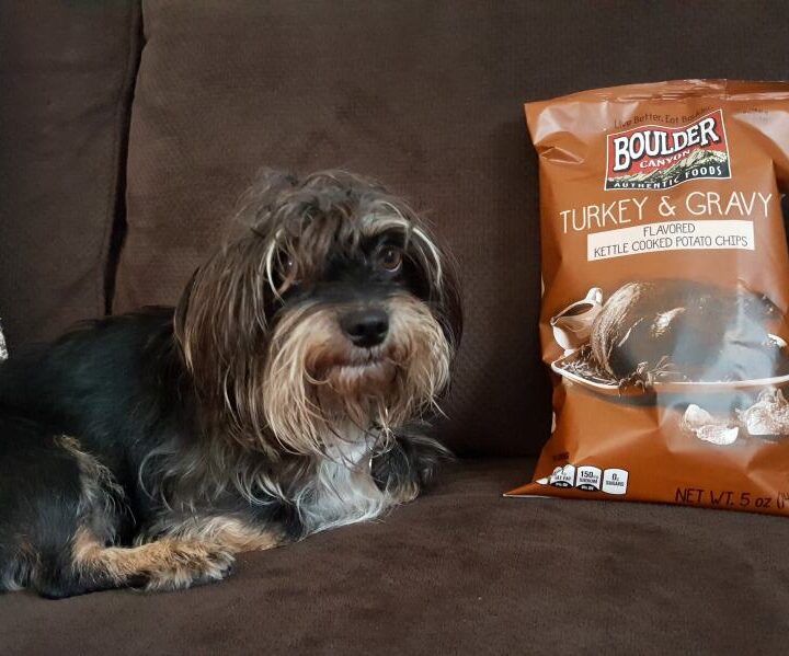 bailey-mae-with-boulder-canyon-turkey-and-gravy-potato-chips