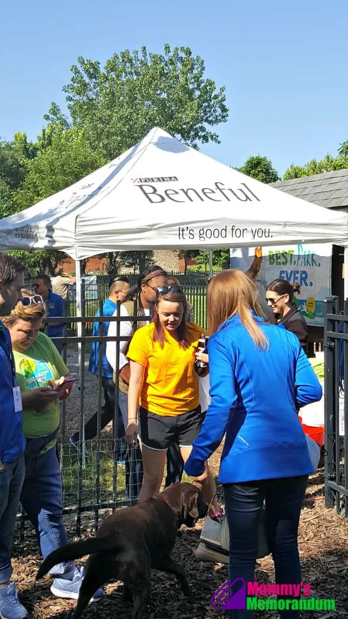 beneful beautifies frenchtown dog park