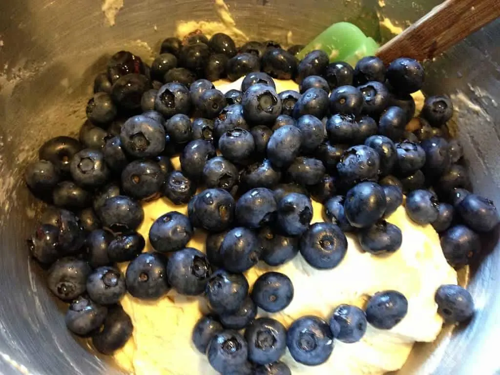 blueberry muffins add blueberries