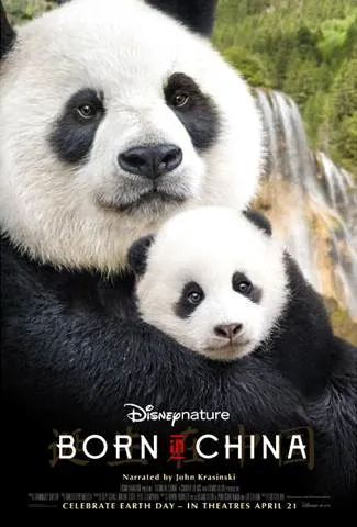 born in china poster