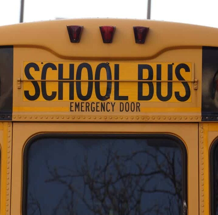 bus-school-school-bus-yellow-159658